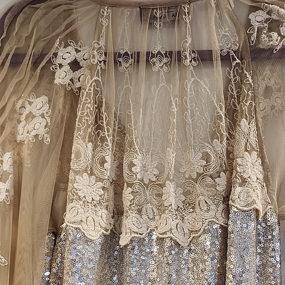 Anthropologie Sheer Lace & Sequin Beige/Taupe Blouse - Picture 6 of 7